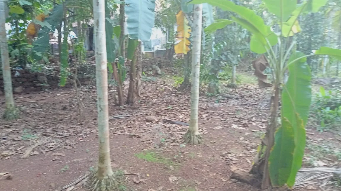 Land with Well Water