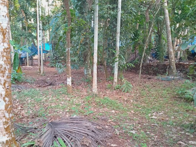 Land with Well Water