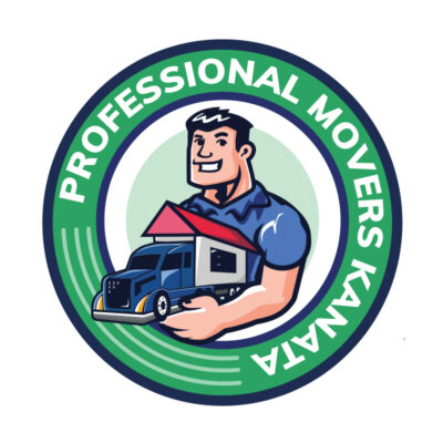Professional