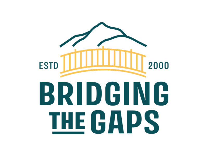 Bridging the Gaps