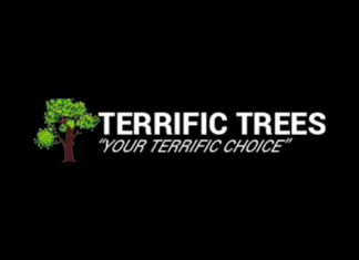 Terrific Trees